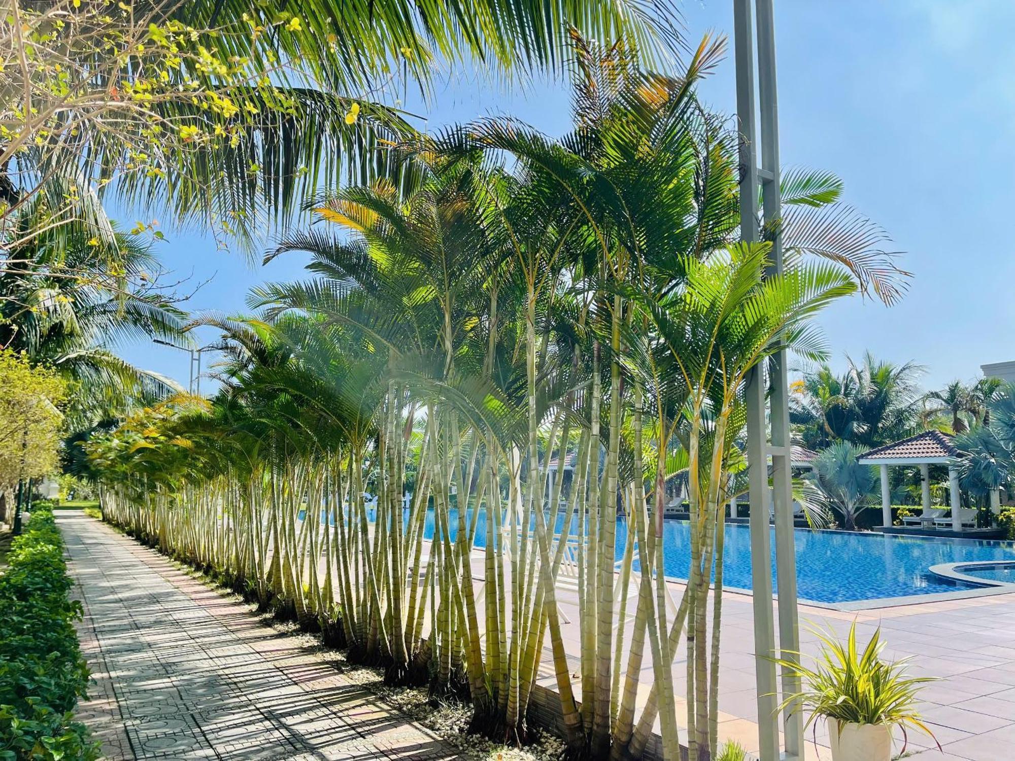 Gold Coast Hotel Resort & Spa Dong Hoi Extérieur photo